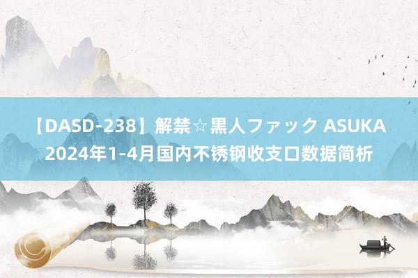 【DASD-238】解禁☆黒人ファック ASUKA 2024年1-4月国内不锈钢收支口数据简析