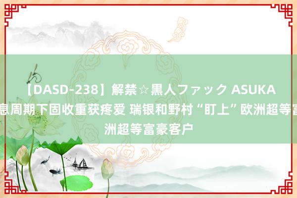 【DASD-238】解禁☆黒人ファック ASUKA 大家加息周期下固收重获疼爱 瑞银和野村“盯上”欧洲超等富豪客户