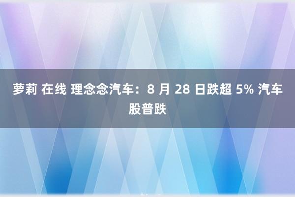 萝莉 在线 理念念汽车：8 月 28 日跌超 5% 汽车股普跌